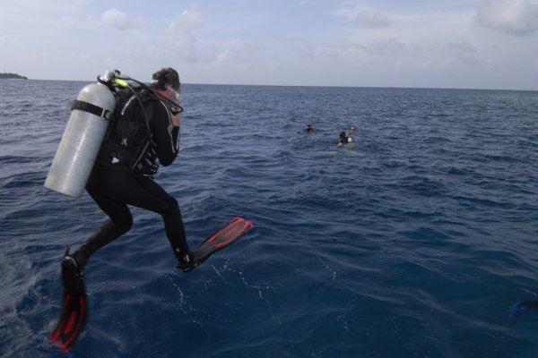 Diving